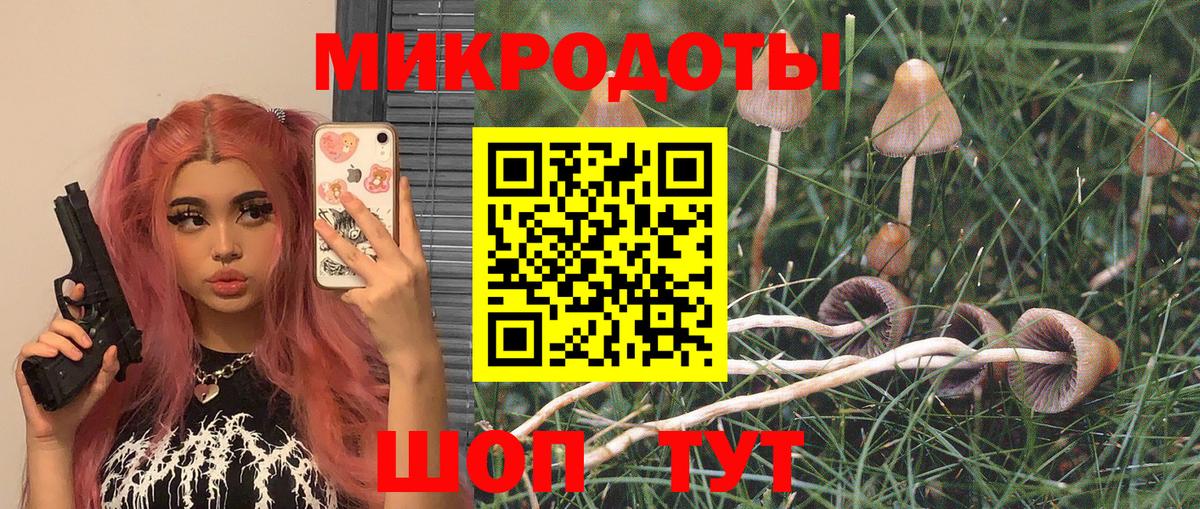Азов  Галлюциногенные грибы прущие грибы  купить наркотики сайты  Вход с VPN 