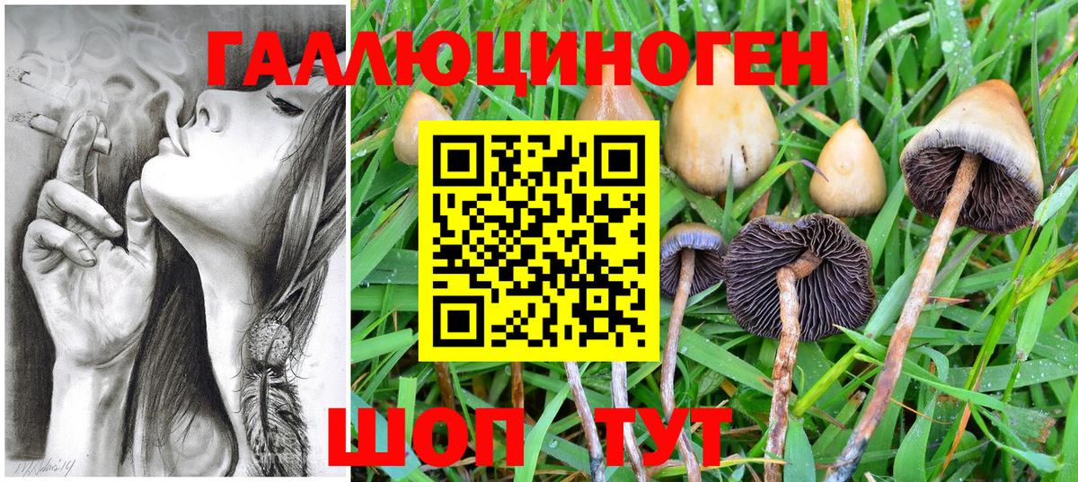 Галлюциногенные грибы ЛСД Азов
